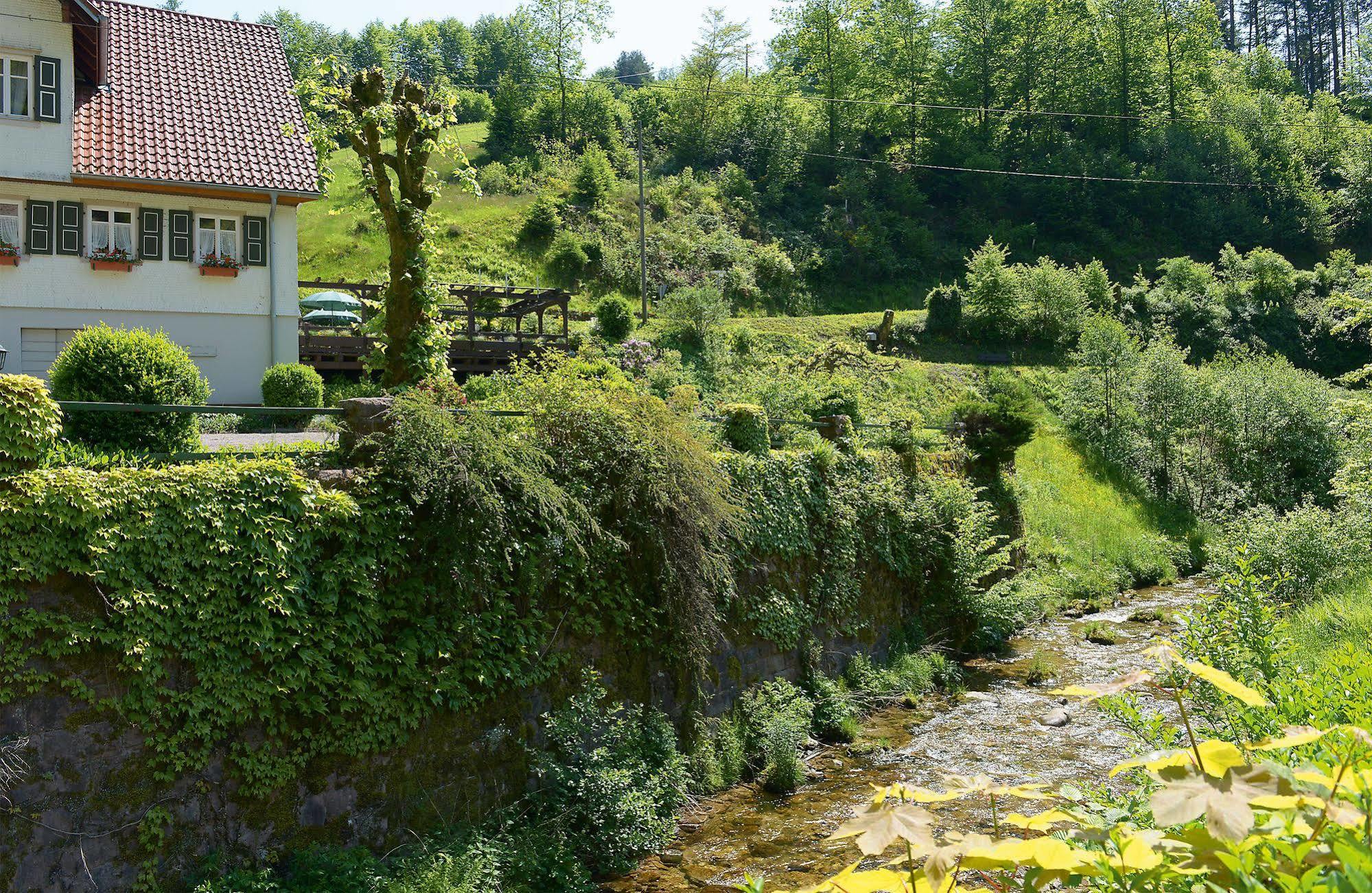 Hotel - Gasthof Blume Oppenau Exteriör bild