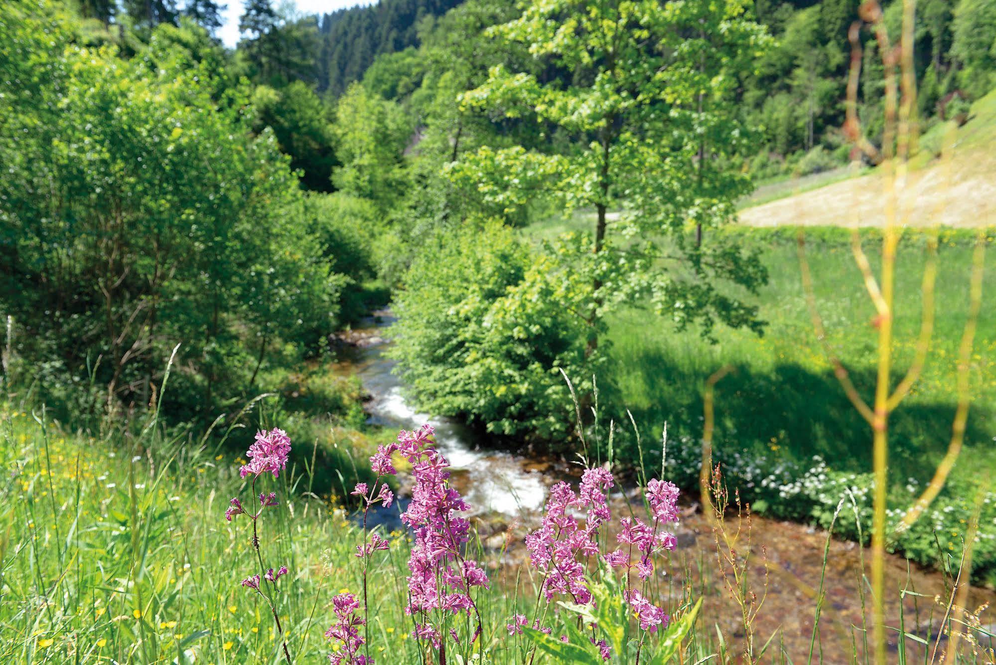 Hotel - Gasthof Blume Oppenau Exteriör bild